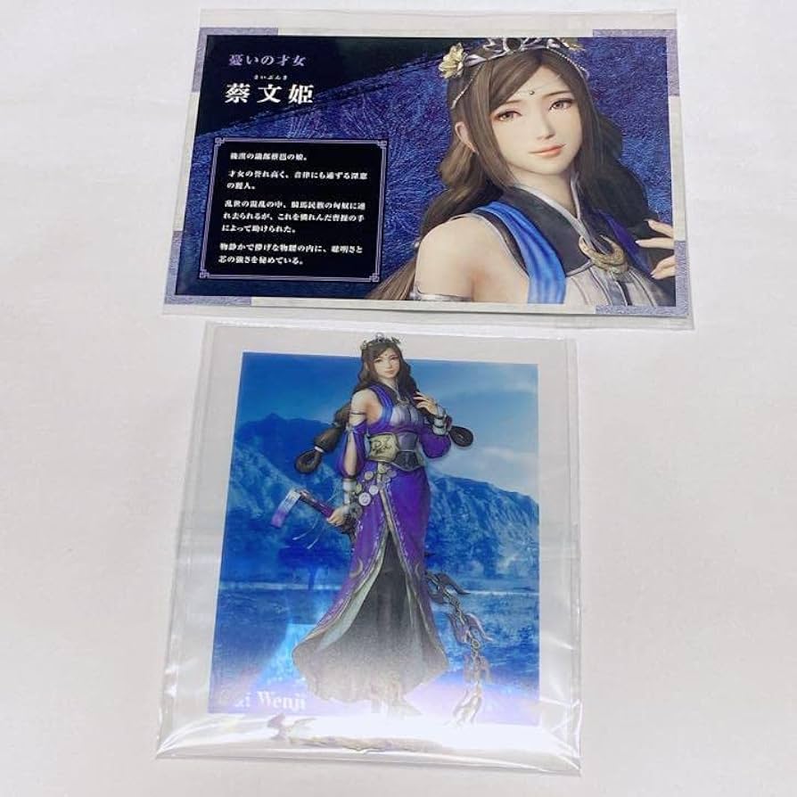 三国志大戦TCG さいぶんき 無双 一枚800円 三国志大戦TCG さいぶんき 無双 一枚800円 三国志大戦 2 蔡文